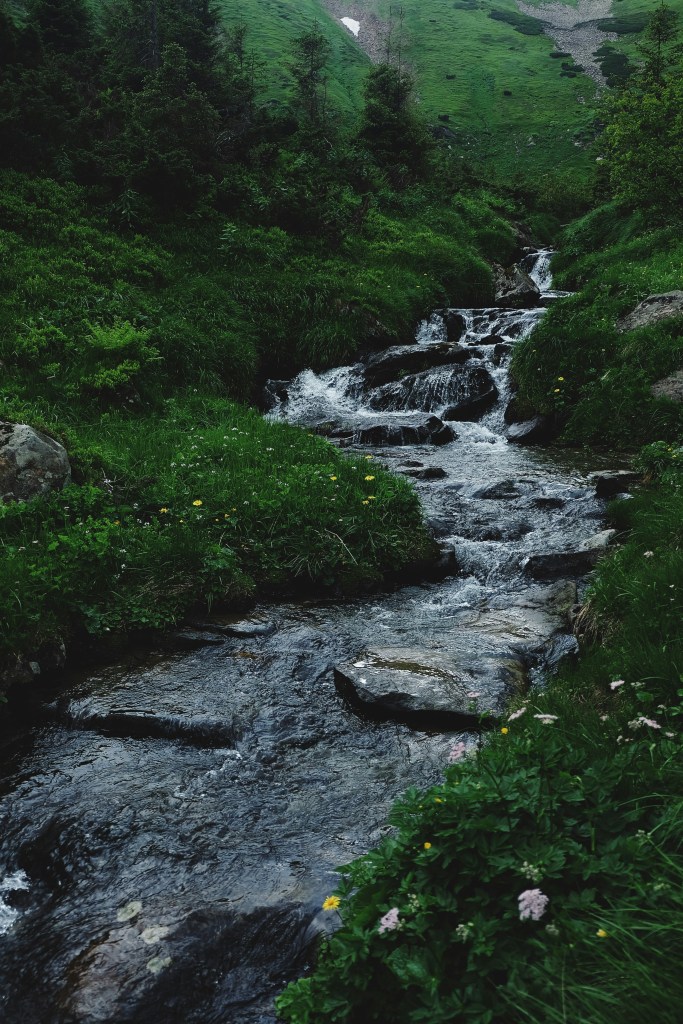 Stream running through grass.